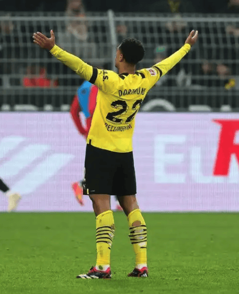 多特蒙德欧冠历史战绩-J9.com